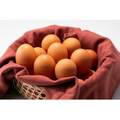 【毎月定期便】京丹波みずほファーム こだわりの卵3種セット 各10個入り 計30個セット全6回