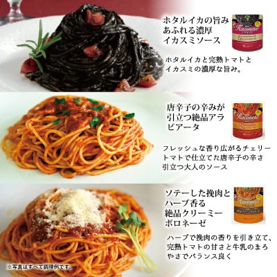 創味のつゆとハコネーゼ9種詰め合わせセット 化粧箱入り