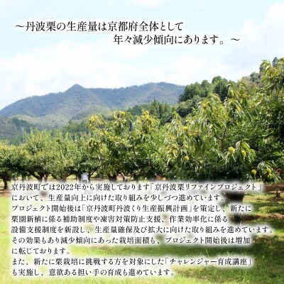 【返礼品なし】京丹波栗 応援寄附金 1000円 京丹波栗リファインプロジェクト