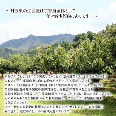 【返礼品なし】京丹波栗 応援寄附金 50000円 京丹波栗リファインプロジェクト