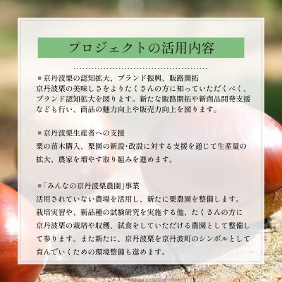 【返礼品なし】 京丹波栗 応援寄附金 500000円 京丹波栗リファインプロジェクト