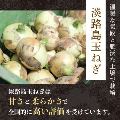 黒毛和牛入りハンバーグ 200g×10個 2kg 丹波牛 京都府産