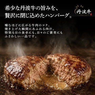 黒毛和牛入りハンバーグ 200g×15個 3kg 丹波牛