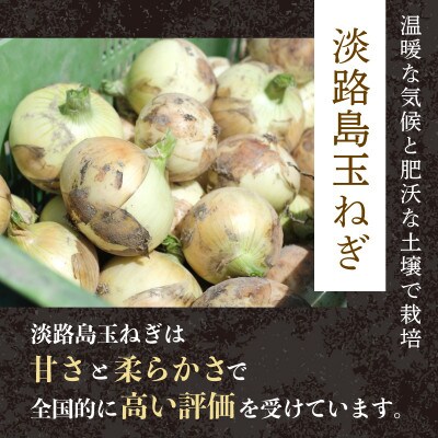黒毛和牛入りハンバーグ 200g×15個 3kg 丹波牛