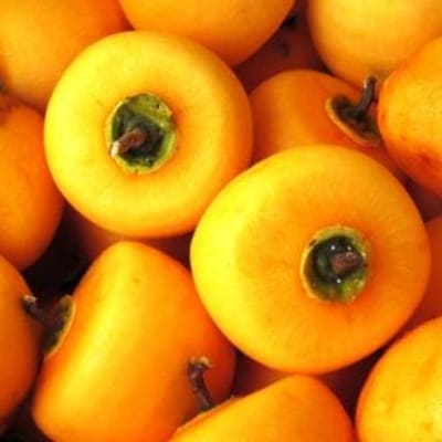 【市田柿専門店 金の柿】市田柿 自家用　300g×3袋