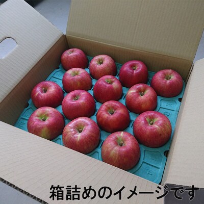【アグリスタくましろ】サンふじ ご家庭用 約5kg(12～20玉)