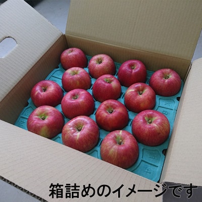 【アグリスタくましろ】サンふじ ご家庭用 約3kg(6～11玉)