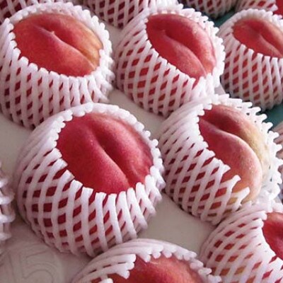 【先行受付】【アグリスタくましろ】あかつき　約2.7kg(6～10玉)