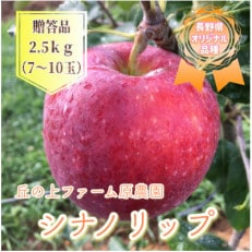 【先行受付】丘の上ファーム原農園「シナノリップ」贈答品2.5kg　2024年8月より順次発送
