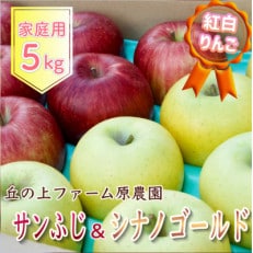 丘の上ファーム原農園「サンふじ&amp;シナノゴールド」家庭用約5kg(12～20玉)