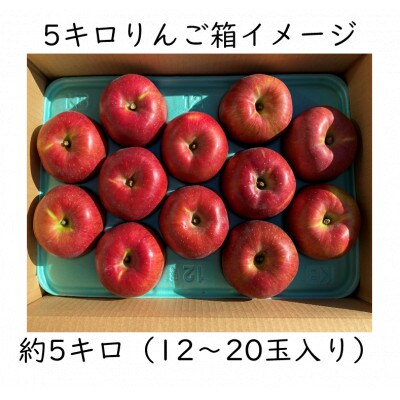 丘の上ファーム原農園「サンふじ&シナノゴールド」家庭用約5kg(12～20玉)