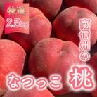 【先行受付】丘の上ファーム原農園『なつっこ』約2.5kg(6～10玉)　2023年8月より順次発送