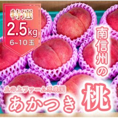 【先行受付】丘の上ファーム原農園の『あかつき』約2.5kg(6～10玉)　2024年7月より順次発送 | ふるさと納税のお礼品