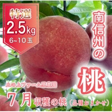 【先行受付】丘の上ファーム原農園の初夏の桃 約2.5kg(6～10玉)品種おまかせ 7月より順次発送 | ふるさと納税のお礼品