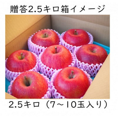 【丘の上ファーム】りんご「シナノスイート」贈答品2.5kg(7-10玉)　2025年10月発送