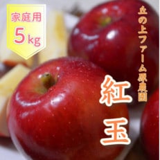 【先行受付】丘の上ファーム原農園の「紅玉」家庭用約5kg(12～20玉)