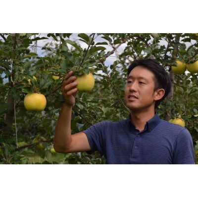 【先行受付】丘の上ファーム原農園の「トキ」家庭用約5kg(12～20玉)