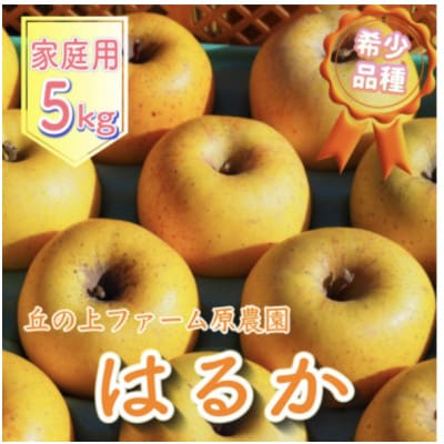 希少品種『はるか』家庭用5kg(12～22玉)　丘の上ファーム原農園より2025年12月発送