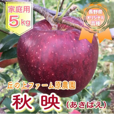 【先行受付】丘の上ファーム原農園の「秋映」家庭用約5kg(12～20玉)
