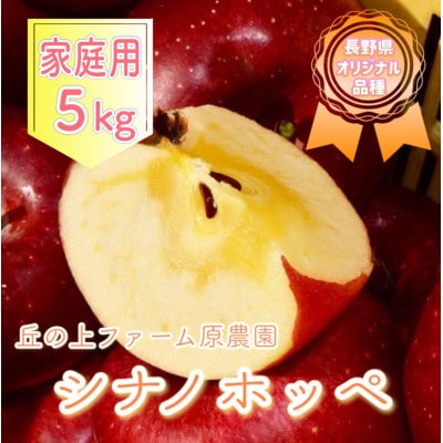 【先行受付】丘の上ファーム原農園の「シナノホッペ」家庭用約5kg(12～20玉)