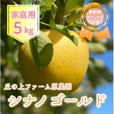 【先行受付】丘の上ファーム原農園の「シナノゴールド」家庭用約5kg(12～20玉)
