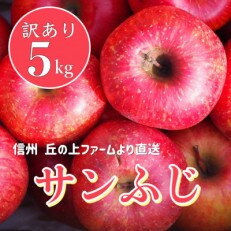 甘～い!訳あり「サンふじ」約5キロ 丘の上ファーム原農園より直送