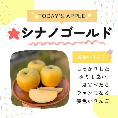 【さとふる限定】【丘の上ファーム】食べ比べ「サンふじ&シナノゴールド」訳あり5キロ