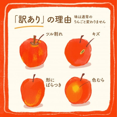 【さとふる限定】【丘の上ファーム】食べ比べ「サンふじ&シナノゴールド」訳あり5キロ