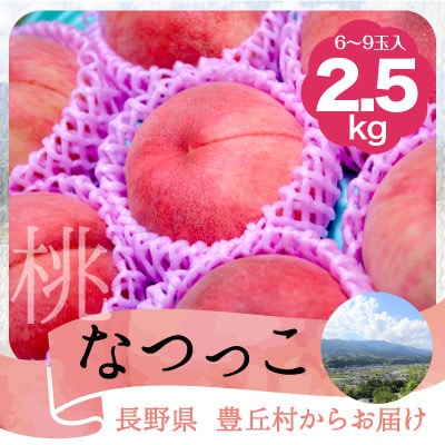 【2025年7月下旬より発送】『なつっこ』約2.5kg 丘の上ファーム原農園より直送　果肉硬め!