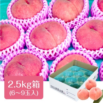 【2025年7月下旬より発送】『なつっこ』約2.5kg 丘の上ファーム原農園より直送　果肉硬め!