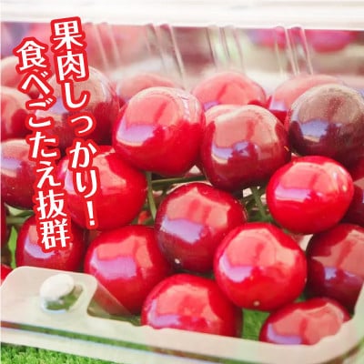【丘の上さくらんぼ園】紅秀峰　500g 大満足の食べ応え!　2025年6月より順次発送