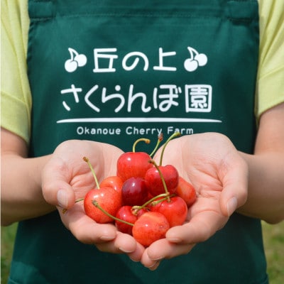 【丘の上さくらんぼ園】紅秀峰　500g 大満足の食べ応え!　2025年6月より順次発送