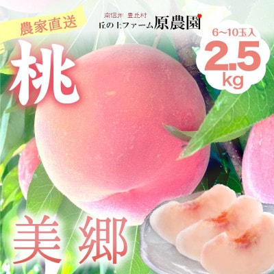 【丘の上ファーム】もも『美郷』2.5kg(6-10玉)　2025年7月下旬より発送