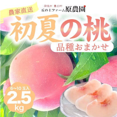 【丘の上ファーム】初夏を彩る桃　品種おまかせ　2.5kg(6-10玉)　2025年7月発送