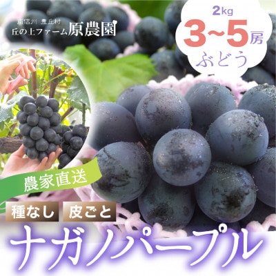 【丘の上ファーム】大玉ぶどう「ナガノパープル」2kg(3‐5房) 2025年9月発送