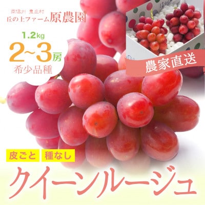 【丘の上ファーム】希少品種「クイーンルージュ」1.2kg 2025年9月より発送