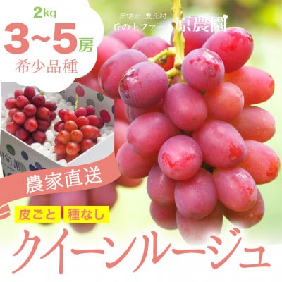 【丘の上ファーム】希少品種「クイーンルージュ」 2kg(3‐5房)　2025年9月頃発送