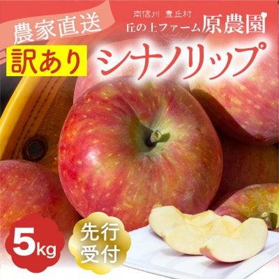 【丘の上ファーム】夏りんご「シナノリップ」訳あり5kg　2025年8月より発送