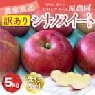 【丘の上ファーム】りんご「シナノスイート」訳あり5kg(11-20玉)2025年10月より発送