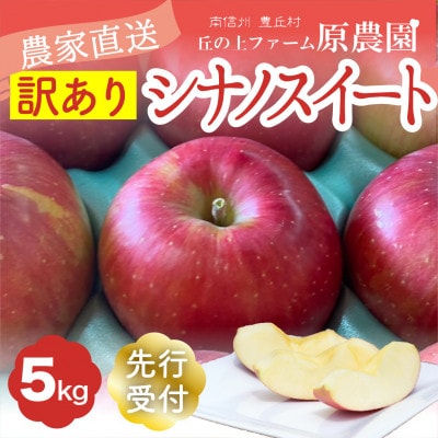 【丘の上ファーム】りんご「シナノスイート」訳あり5kg(11-20玉)2025年10月より発送