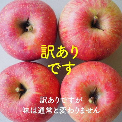 【丘の上ファーム】食べ比べ『シナノスイート&シナノゴールド』訳あり5kg　2025年10月より発送