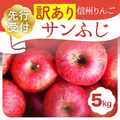【農家直送】訳あり「完熟サンふじ」5kg　甘さ溢れる果汁のりんご　【2025年11月より発送】