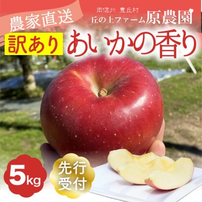 【丘の上ファーム】幻のりんご「あいかの香り」訳あり5kg(11-20玉)2025年11月より発送