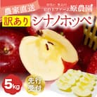【丘の上ファーム】希少品種『シナノホッペ』訳あり5kg(11-20玉)　2025年11月発送