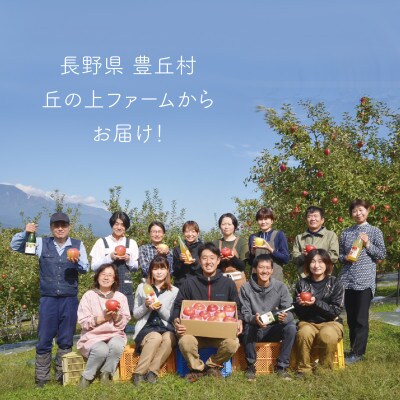 【丘の上ファーム】夏りんご「サンつがる」家庭用10kg(22～40玉)2025年8月～9月発送