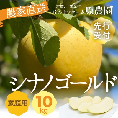 【丘の上ファーム】りんご「シナノゴールド」家庭用10kg(22-36玉)2025年10月～12月発送