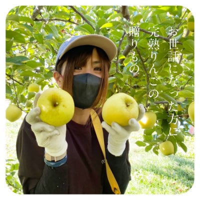 【丘の上ファーム】りんご「シナノゴールド」家庭用10kg(22-36玉)2025年10月～12月発送