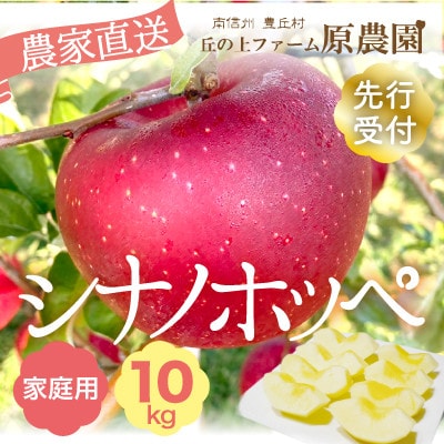 【丘の上ファーム】希少品種「シナノホッペ」家庭用10kg(22-36玉)2025年11月、12月発送