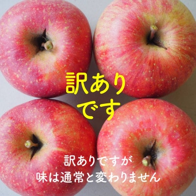 【丘の上ファーム】完熟りんご「サンふじ」家庭用10kg(22-36玉) 2026年12月より発送