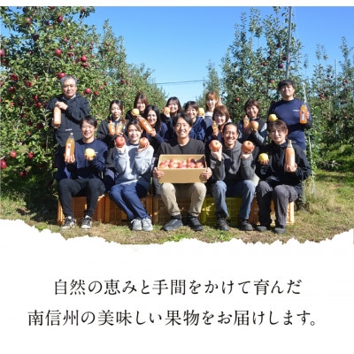 【丘の上ファーム】完熟りんご「サンふじ」家庭用10kg(22-36玉) 2026年12月より発送